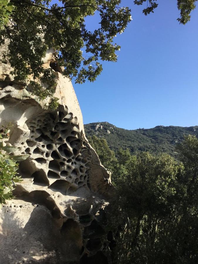 Apartmán La Casa Di Sara Nuoro  Exteriér fotografie